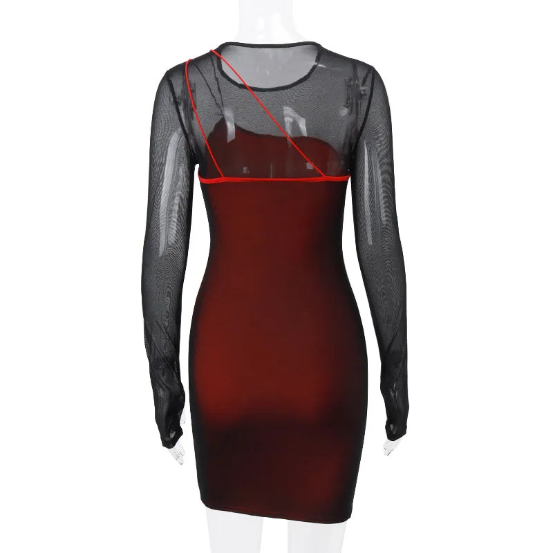 Vintage Mesh Sheer Long Sleeve Sexy Mini Dress Party Elegant Fashion Club Outfits for Women Spring Bodycon Dresses